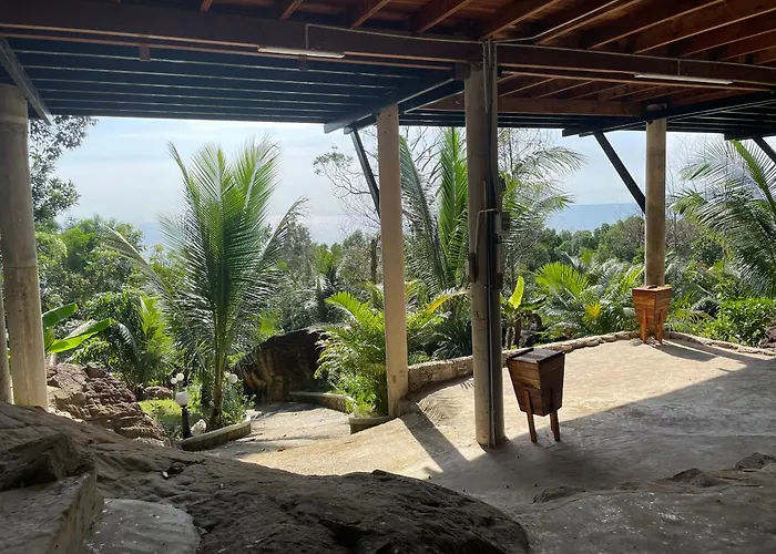 Ong Vinh House - Living Among Nature !