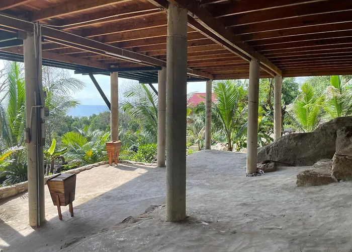 Ong Vinh House - Living Among Nature !
